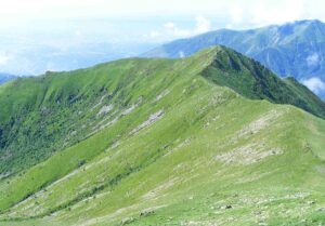 1200px-Cima_bonom_da_cima_guardie