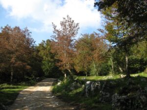 img_8409-copia