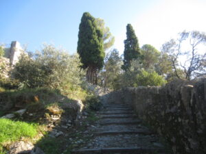 ispezione-sulla-nervi-sori-28-10-2016-006