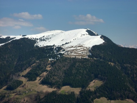 Monte Alto
