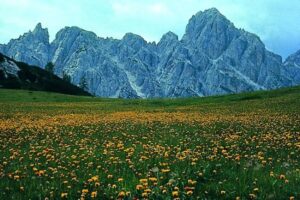 PNDB-Schiara (2)