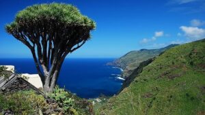la palma
