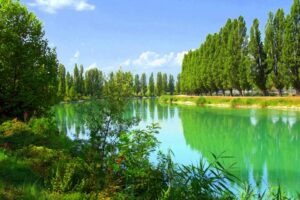 parco-del-mincio005