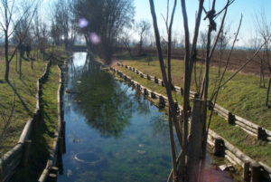 rec-font-fontanone_1-600