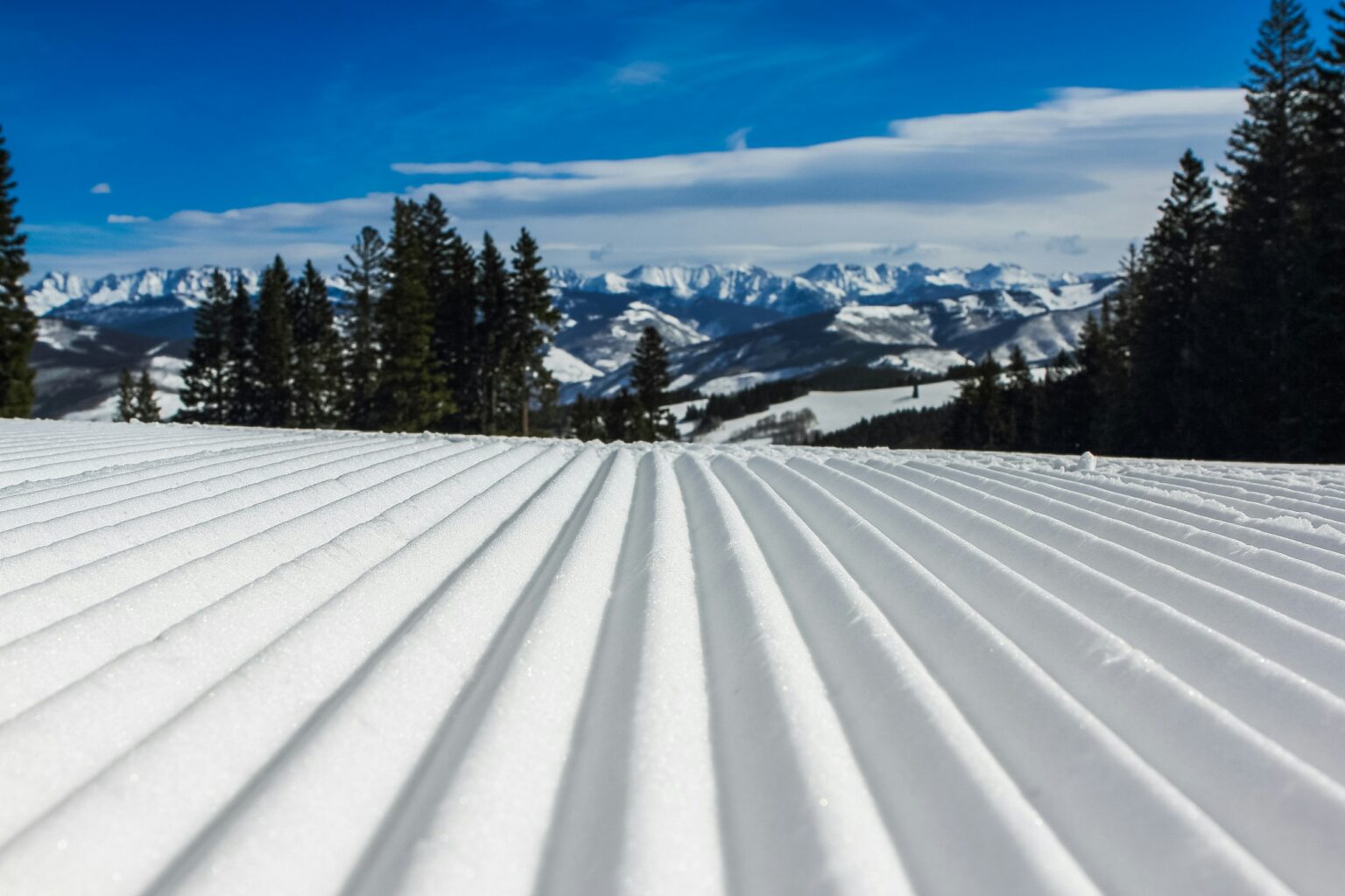 corsi e gite di sci e snowboard