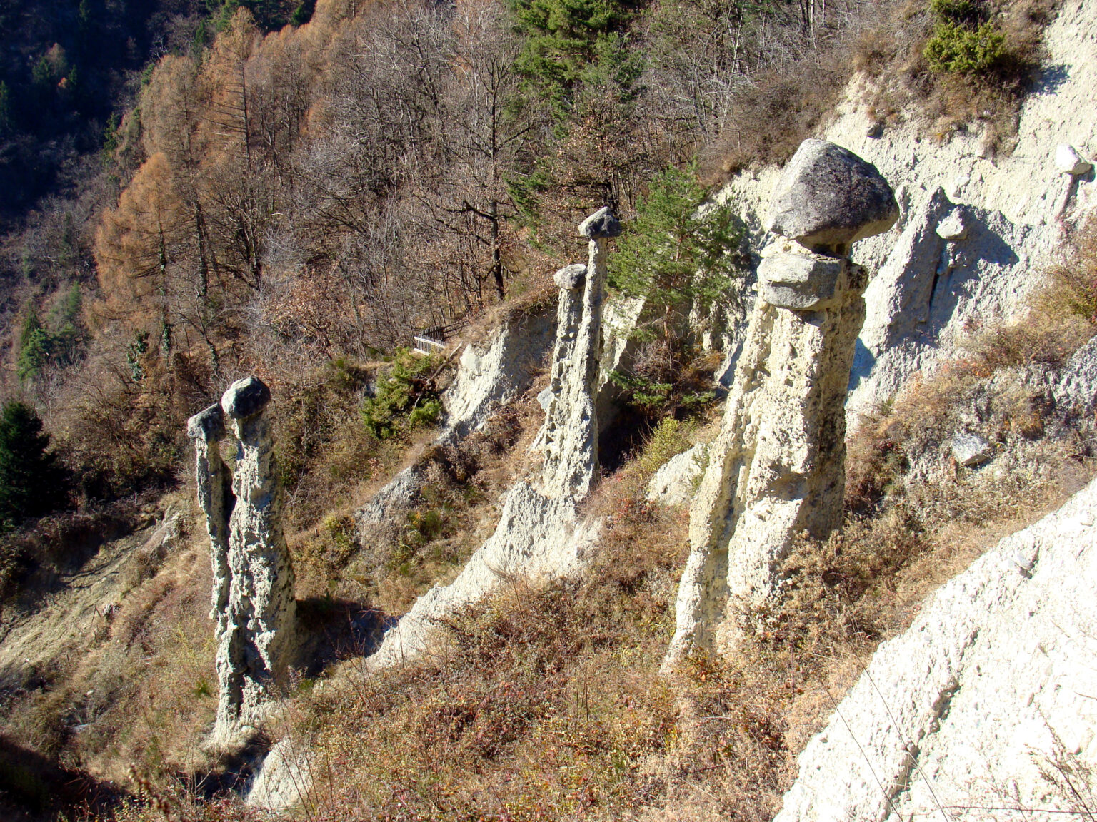 Bollati2 Postalesio