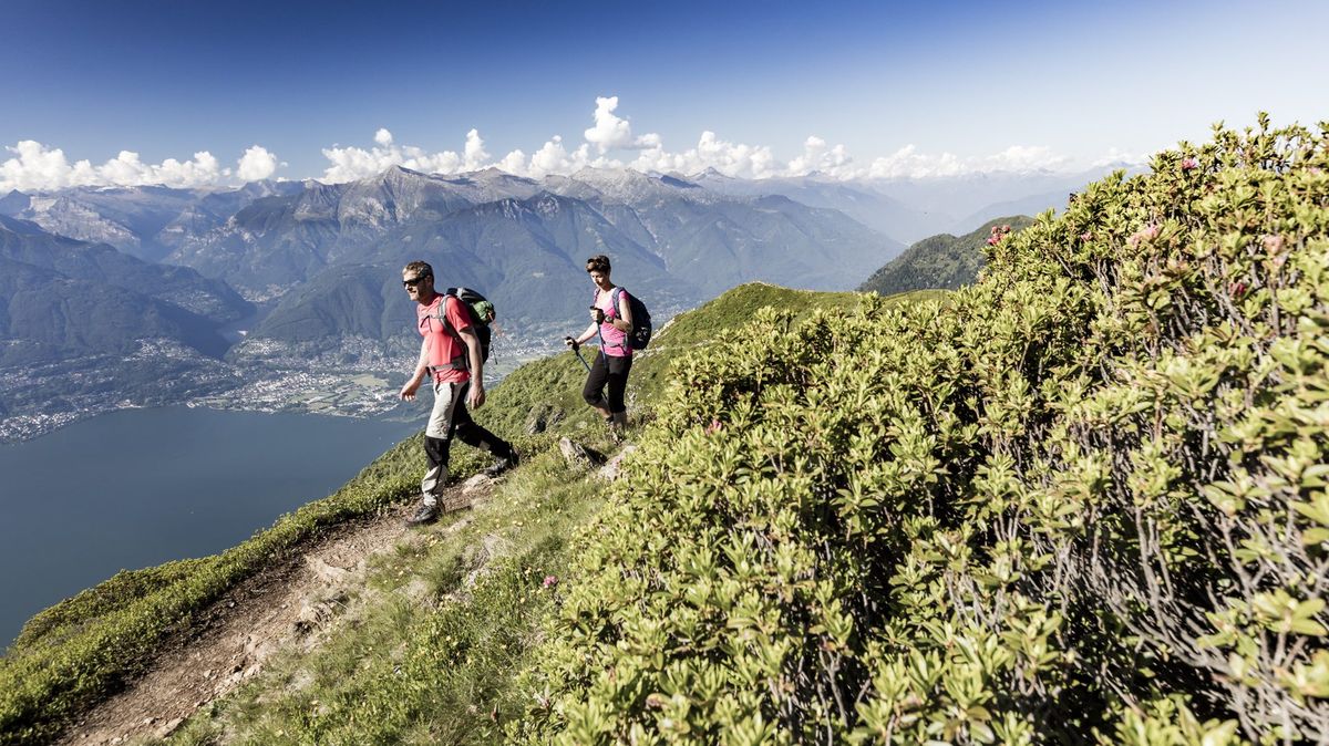 https://www.ascona-locarno.com/it/esplora/gambarogno