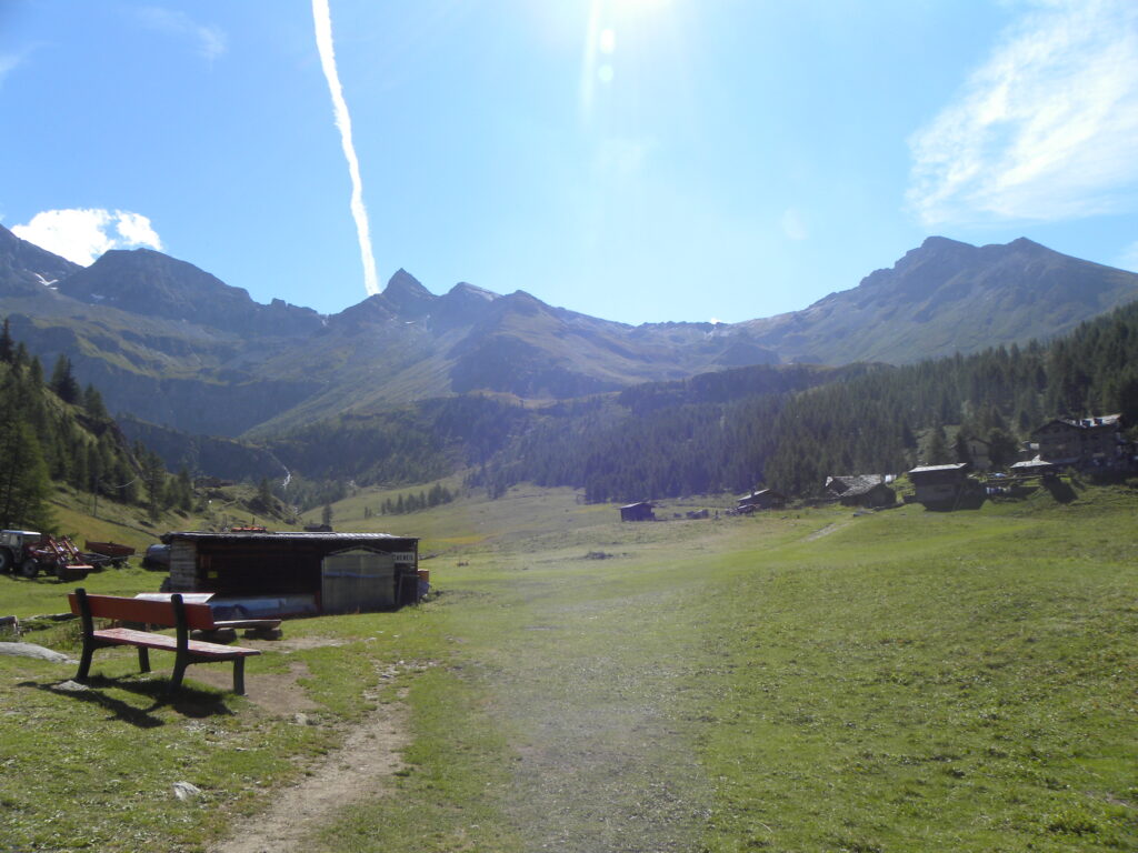 Panorama