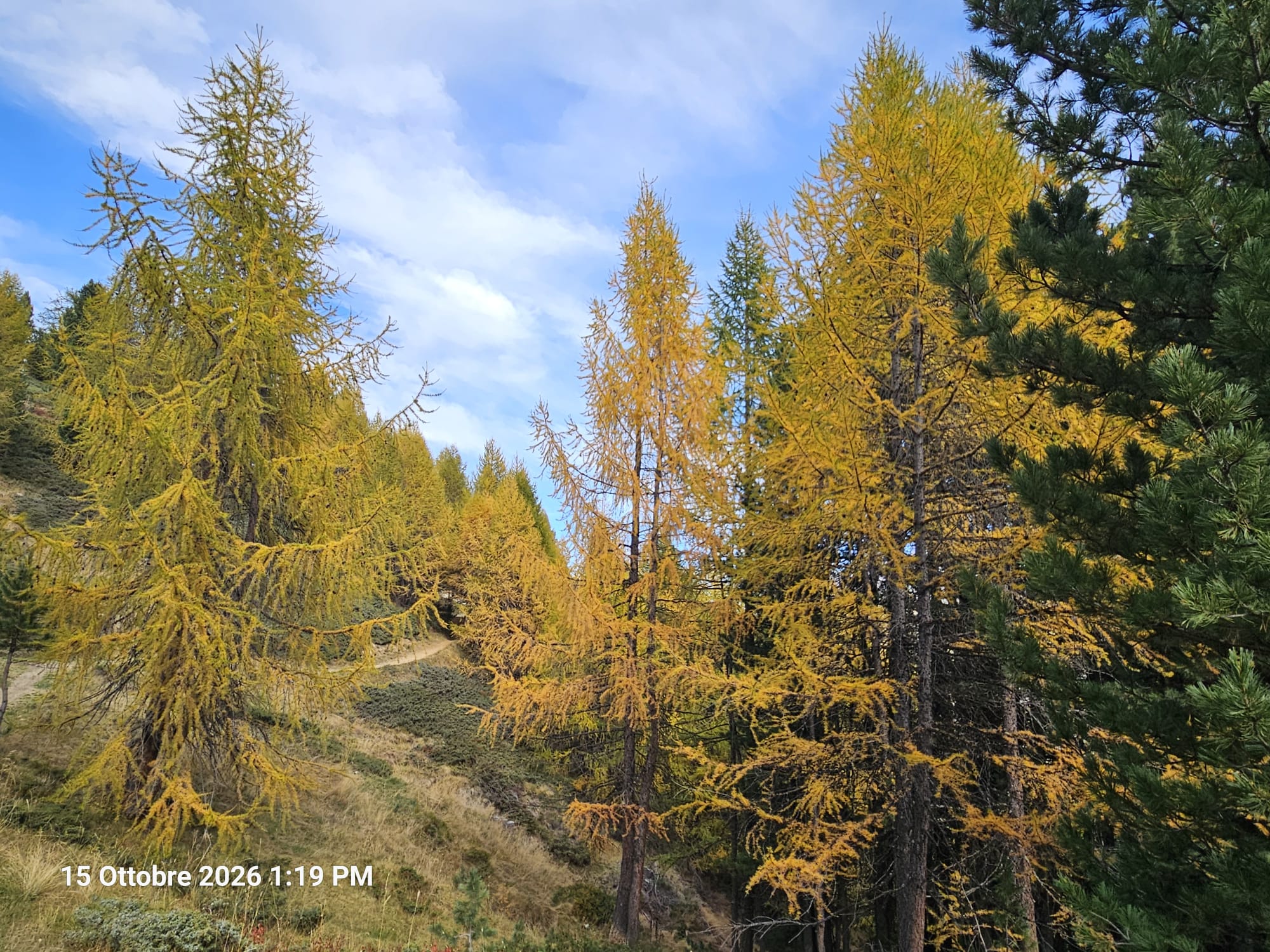 Foliage nei pressi del rifugio