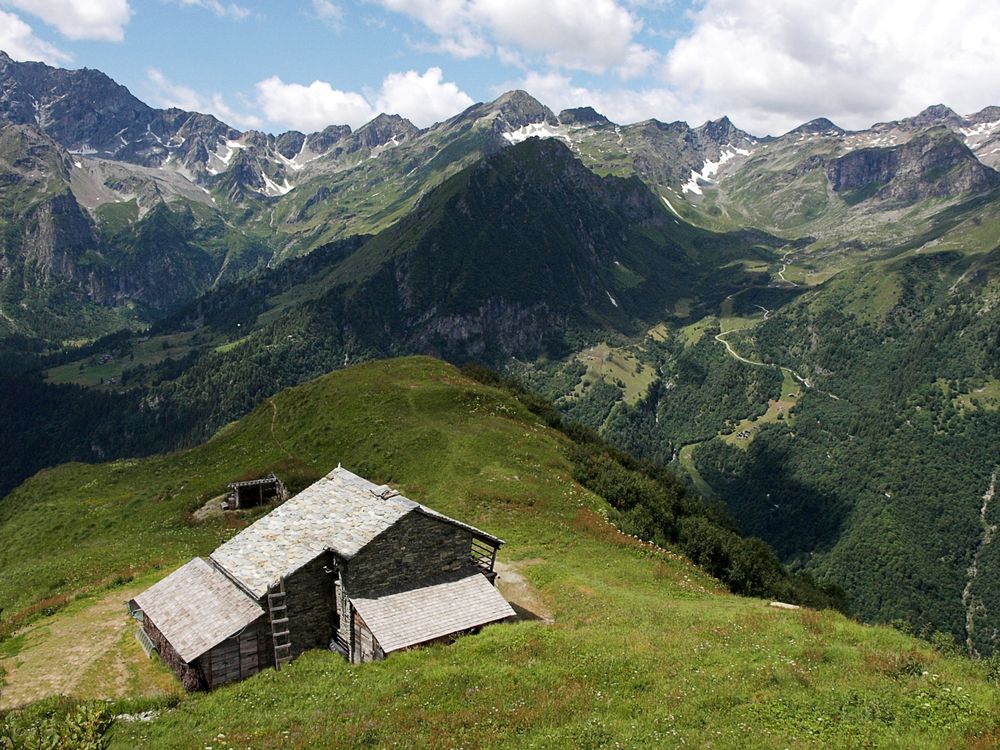Panorama